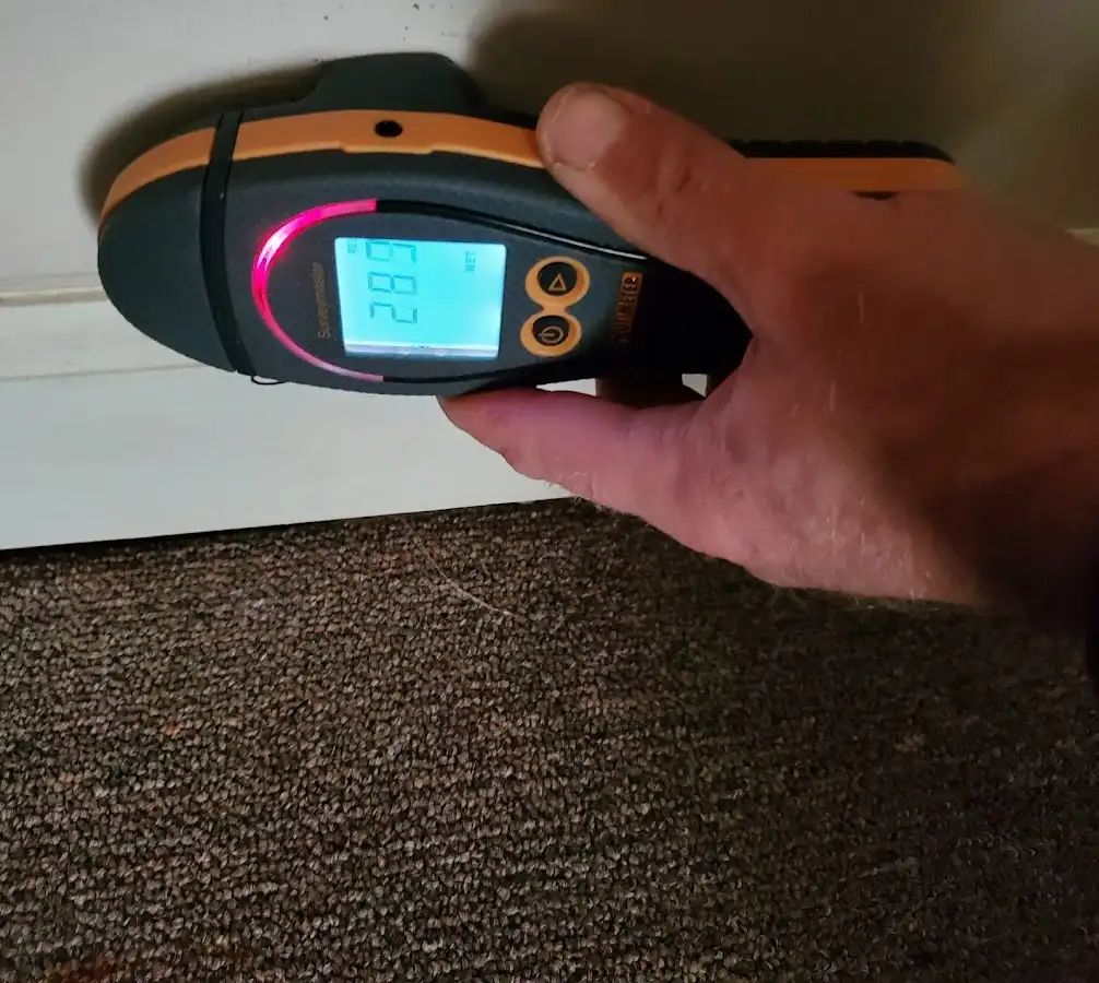 Moisture detection at baseboard during Mold Inspection & Testing in Anderson